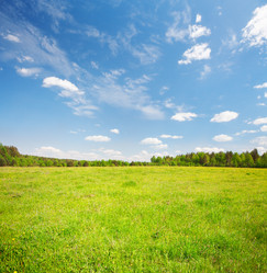 Similar image 7964302