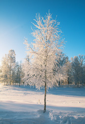 Similar image 7964311