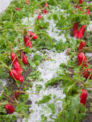 Similar image 7964375