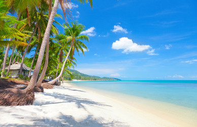 Similar image 7964407