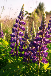 Similar image 7964460