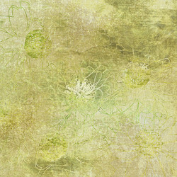 Similar image 7964466