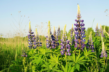 Similar image 7964480