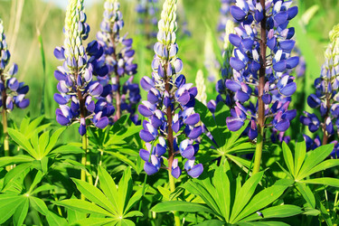 Similar image 7964481