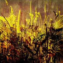 Similar image 7964487