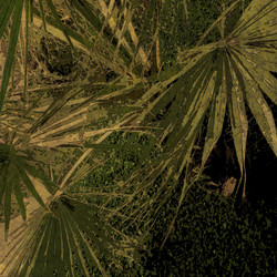 Similar image 7964491