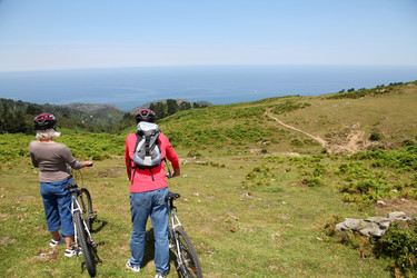 Similar image 7964514