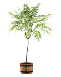 Similar image 7964540