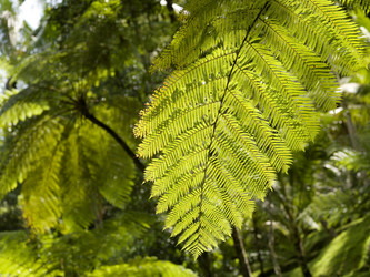 Similar image 7964587