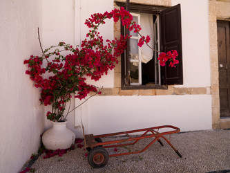 Similar image 7964589