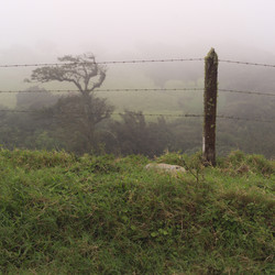 Similar image 7964595