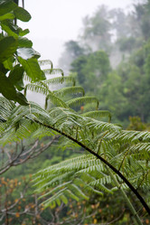 Similar image 7964597