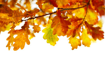 Similar image 7964626