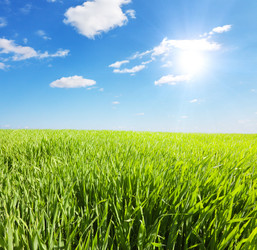 Similar image 7964642