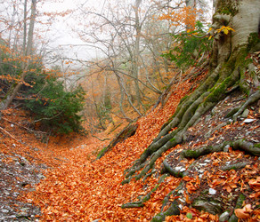 Similar image 7964650