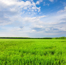 Similar image 7964684