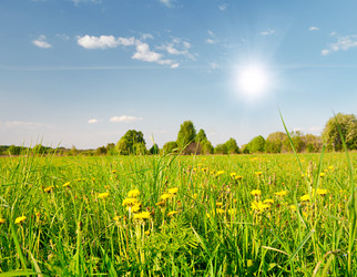 Similar image 7964692