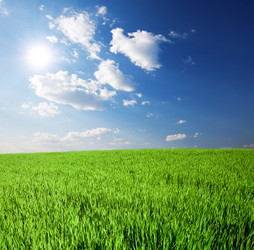 Similar image 7964705