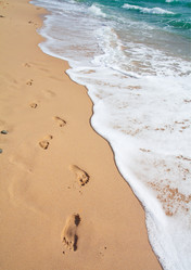 Similar image 7964719