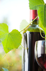 Similar image 7964736