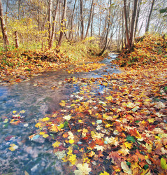 Similar image 7964739