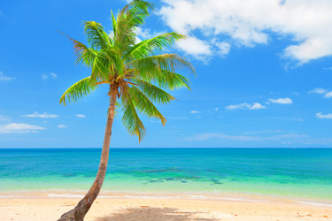 Similar image 7964776