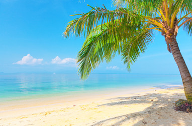 Similar image 7964783