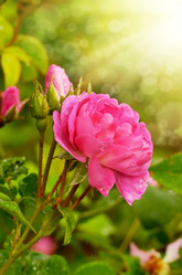 Similar image 7964891