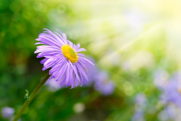 Similar image 7964908