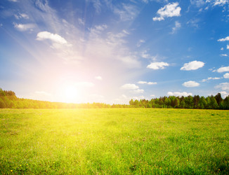 Similar image 7964926