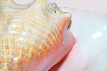 Similar image 7964927