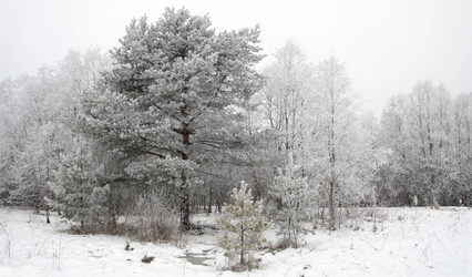 Similar image 7964943