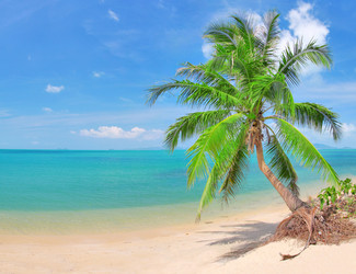 Similar image 7964960