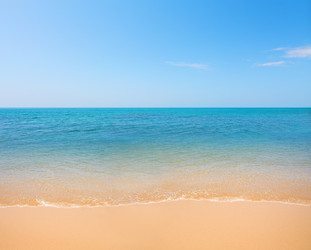 Similar image 7965002