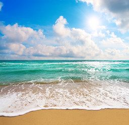 Similar image 7965007