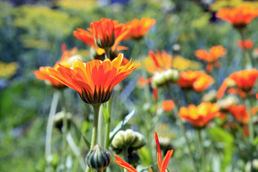 Similar image 7965080