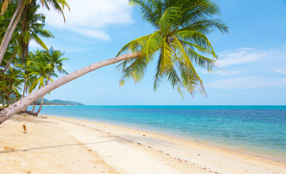 Similar image 7965180