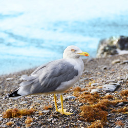 Similar image 7965226