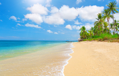 Similar image 7965279