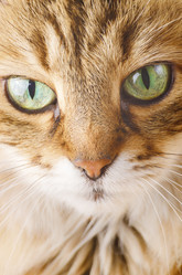 Similar image 7965299