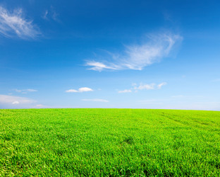 Similar image 7965325