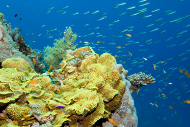 Similar image 7965357