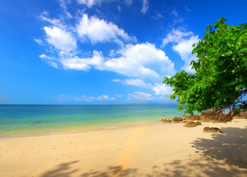 Similar image 7965372