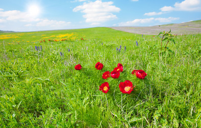 Similar image 7965416