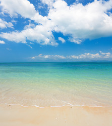 Similar image 7965428