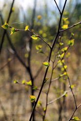 Similar image 7965433