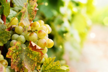 Similar image 7965503