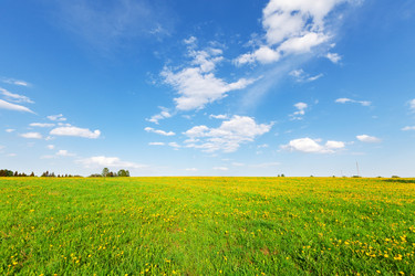 Similar image 7965504