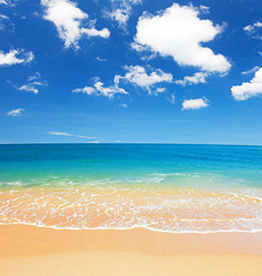 Similar image 7965529