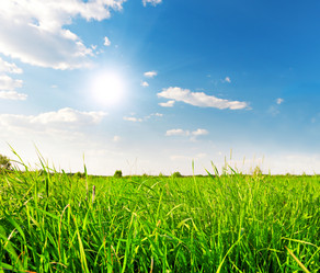 Similar image 7965581